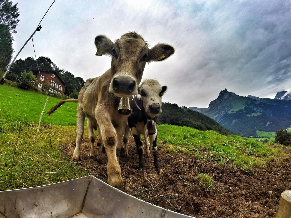 Hostel Engelberg "Mein Trail Hostel" Экстерьер фото